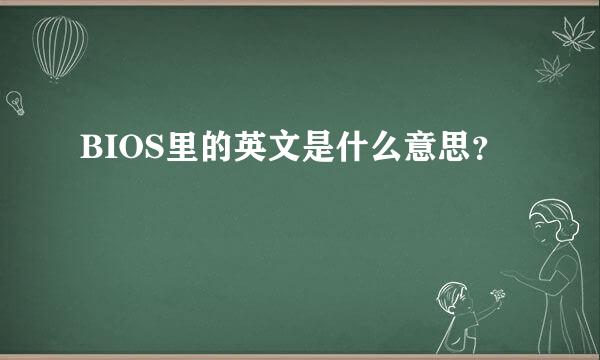 BIOS里的英文是什么意思？