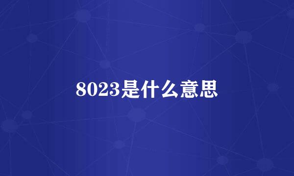 8023是什么意思