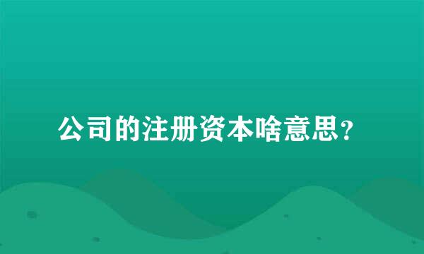 公司的注册资本啥意思？