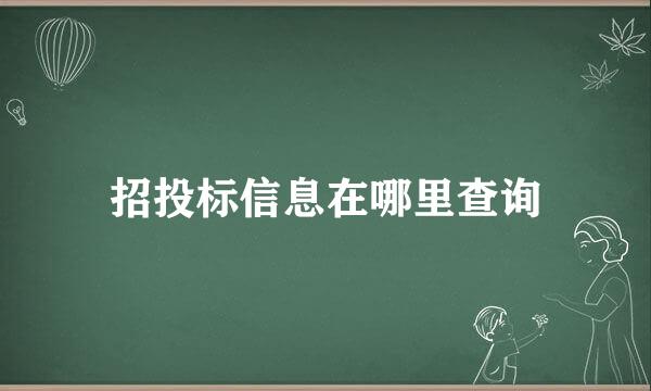 招投标信息在哪里查询