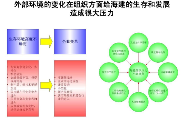 组织外部环境主要有哪几类