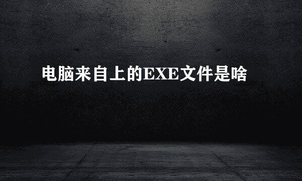 电脑来自上的EXE文件是啥