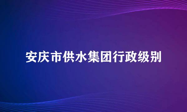 安庆市供水集团行政级别