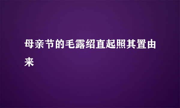 母亲节的毛露绍直起照其置由来