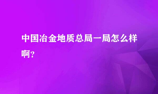 中国冶金地质总局一局怎么样啊？