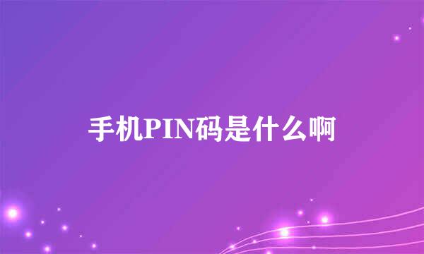 手机PIN码是什么啊