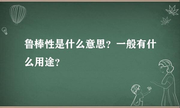 鲁棒性是什么意思？一般有什么用途？