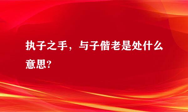 执子之手，与子偕老是处什么意思?