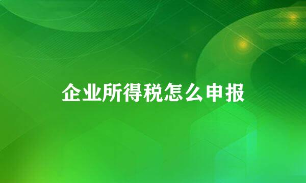 企业所得税怎么申报