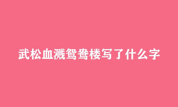 武松血溅鸳鸯楼写了什么字