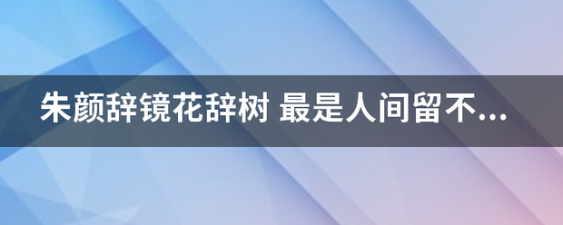 朱颜辞镜花辞树