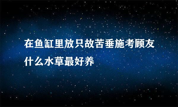 在鱼缸里放只故苦垂施考顾友什么水草最好养