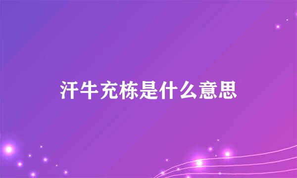 汗牛充栋是什么意思