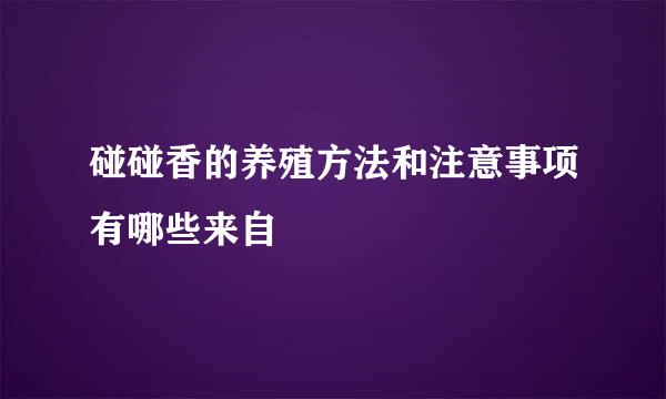 碰碰香的养殖方法和注意事项有哪些来自