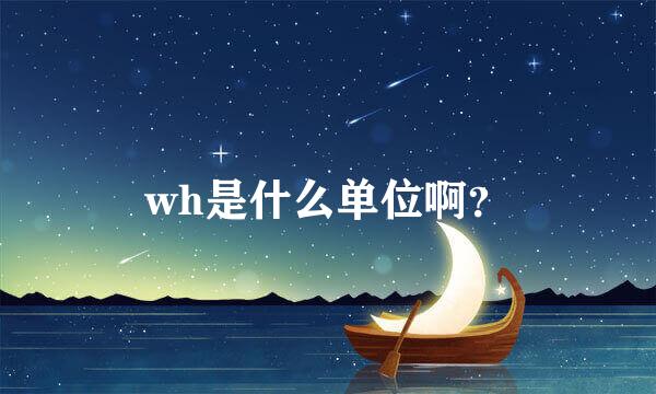 wh是什么单位啊？