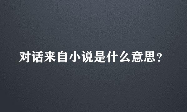 对话来自小说是什么意思？