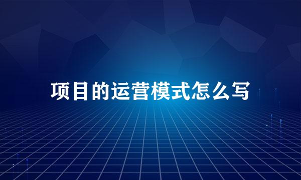 项目的运营模式怎么写