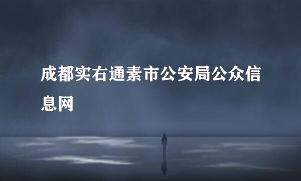 成都实右通素市公安局公众信息网