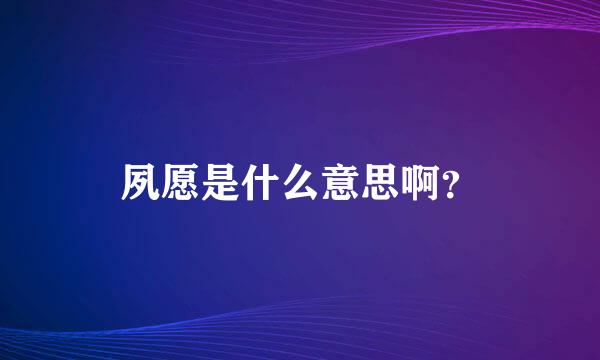 夙愿是什么意思啊？