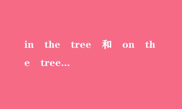 in the tree 和 on the tree 的区别