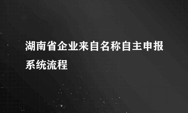 湖南省企业来自名称自主申报系统流程