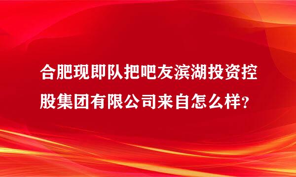 合肥现即队把吧友滨湖投资控股集团有限公司来自怎么样？