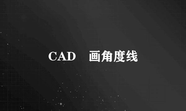 CAD 画角度线