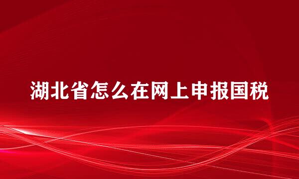 湖北省怎么在网上申报国税