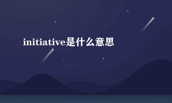 initiative是什么意思