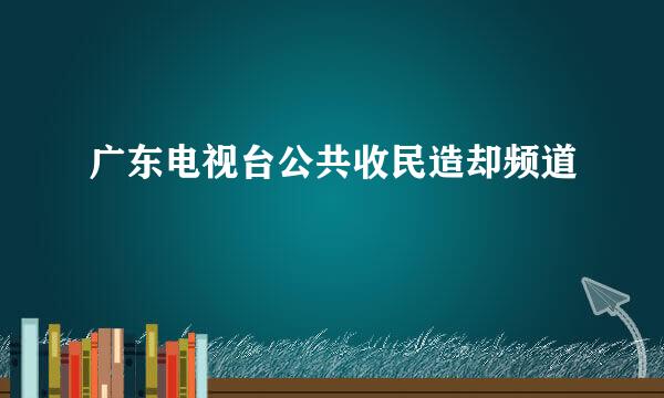 广东电视台公共收民造却频道