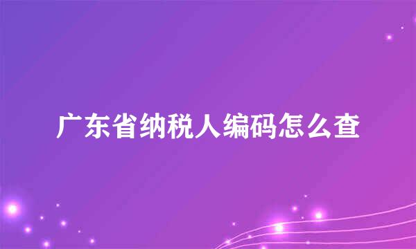 广东省纳税人编码怎么查