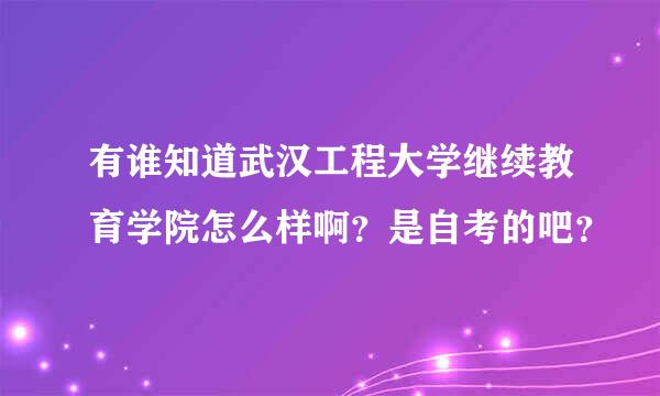 有谁知道武汉工程大学继续教育学院怎么样啊？是自考的吧？