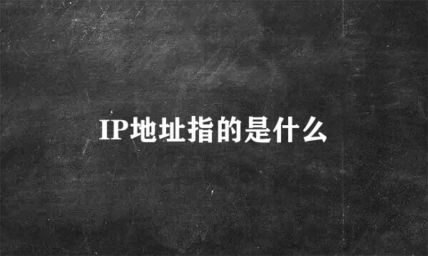 IP地址指的是什么