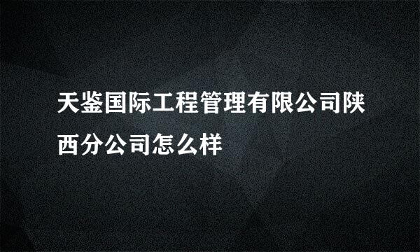 天鉴国际工程管理有限公司陕西分公司怎么样