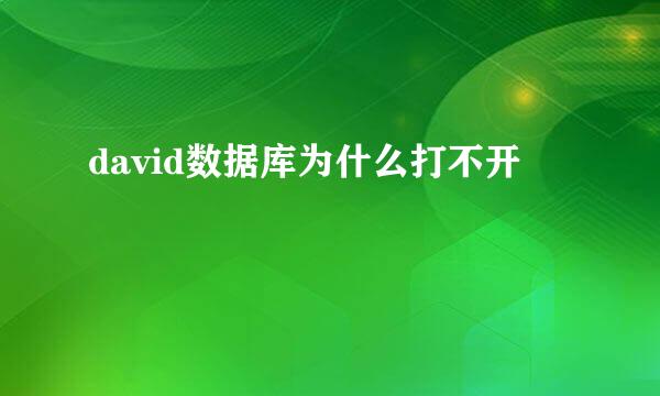 david数据库为什么打不开