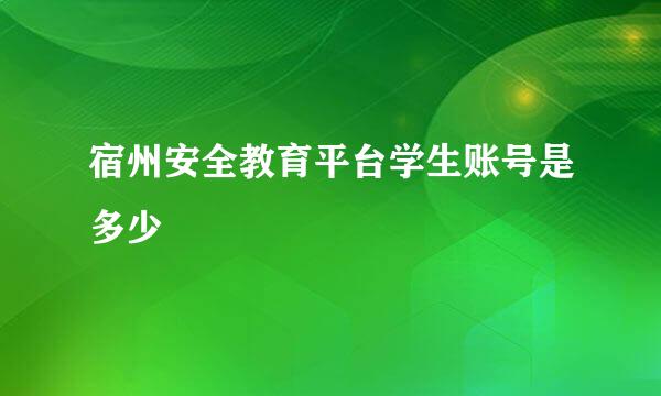 宿州安全教育平台学生账号是多少