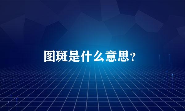 图斑是什么意思？