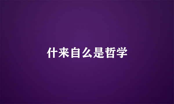 什来自么是哲学