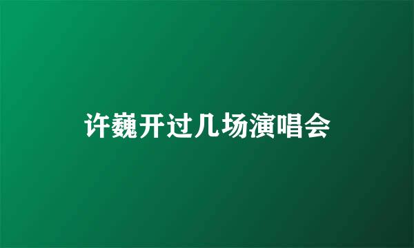 许巍开过几场演唱会