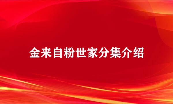 金来自粉世家分集介绍