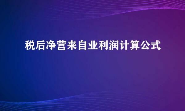 税后净营来自业利润计算公式