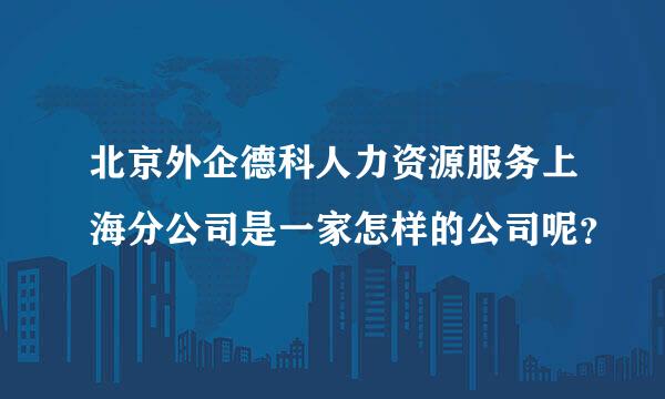 北京外企德科人力资源服务上海分公司是一家怎样的公司呢？