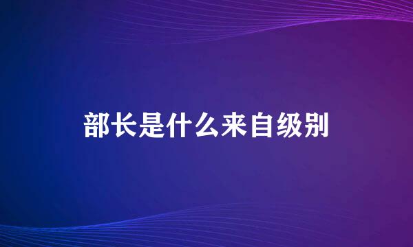 部长是什么来自级别