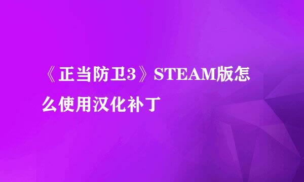 《正当防卫3》STEAM版怎么使用汉化补丁