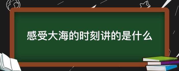 感受大海的时刻讲的是什么