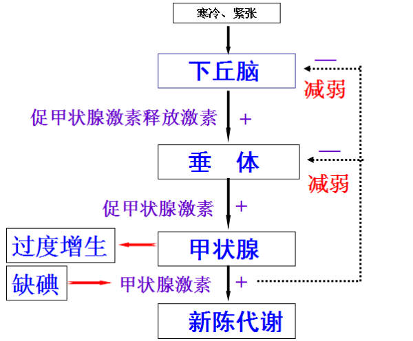 反馈和负反馈有什么区别