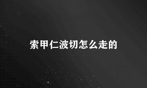 索甲仁波切怎么走的