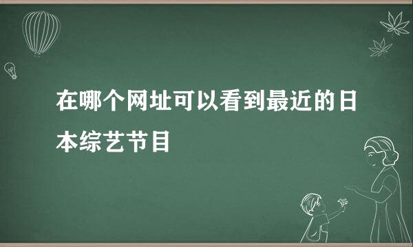 在哪个网址可以看到最近的日本综艺节目