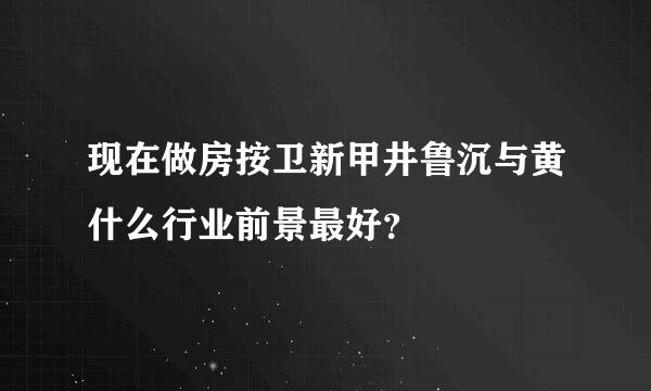 现在做房按卫新甲井鲁沉与黄什么行业前景最好？