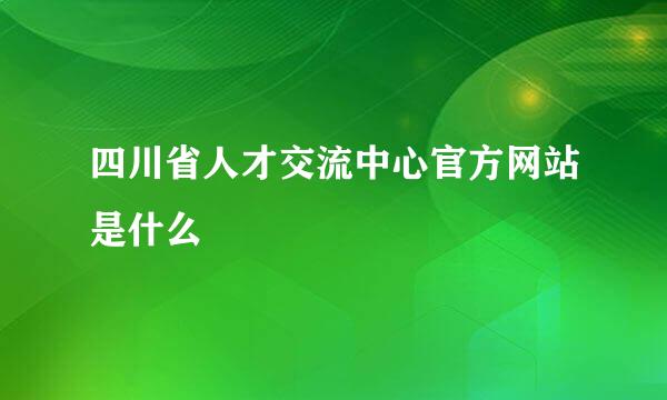 四川省人才交流中心官方网站是什么